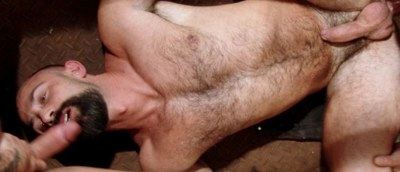 Furry Butch Grand gts his ass plowed  while sucking cock