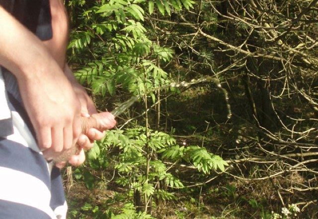 Young uncut cock spurting piss in the woods
