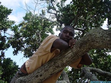 Black guy laying in a tree