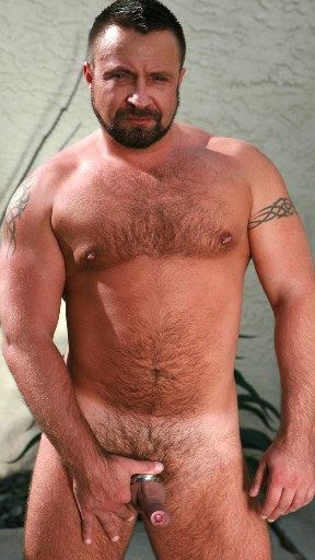 beefy, hairy dad shows off uncut, little dick