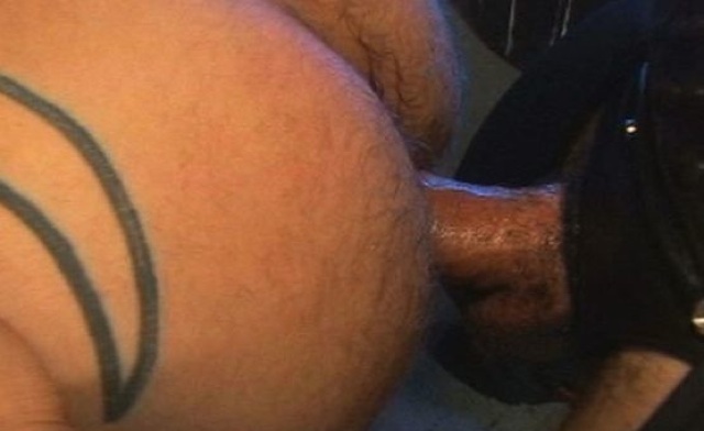 Raw cock fucking a hairy tatted ass