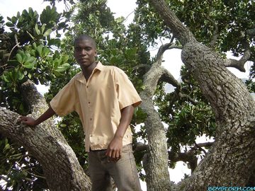 Young black guy in a big tree