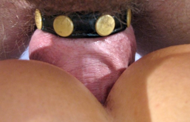 Close-up of veiny raw dick with studded cockring fucking bubble ass.