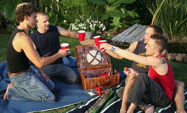 Four guys toast at a picnic