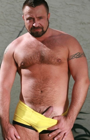 Hairy bear showing cock, wearing yellow trunks