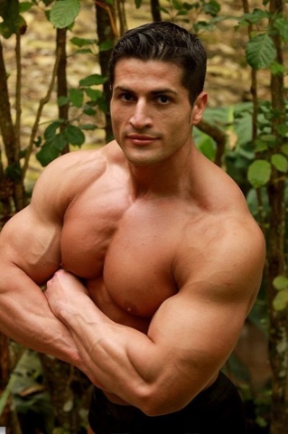 Amerigo\'s huge biceps