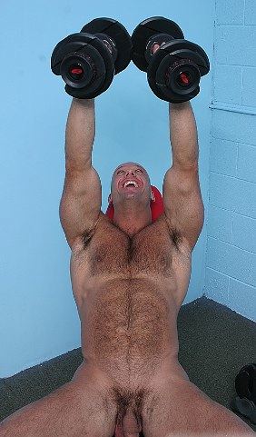 Furry muscle bear lifting weights