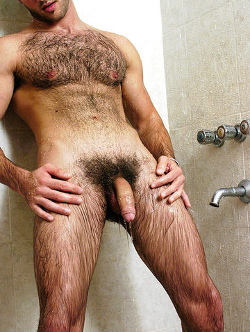 Hairy guy with a "manscaped" belly and big uncut cock